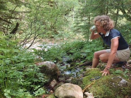 DVODNEVNI POHOD PO VODNI POTI Kamniško-Savinjskih Alp